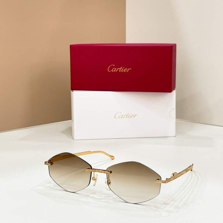 Picture of Cartier Sunglasses _SKUfw80235790fw